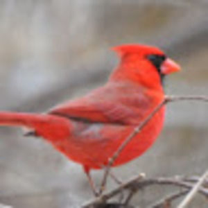 Meet your Posher, Judith